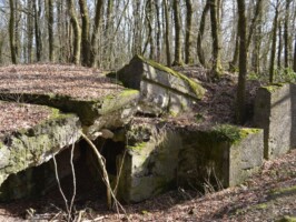 Gammelskov Batteri Gammelskov Batteri, den østlige mandskabsbunker