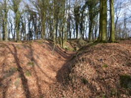 Gammelskov Batteri Gammelskov Batteri, den østlige tværgrav