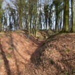 Gammelskov Batteri Gammelskov Batteri, den østlige tværgrav