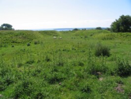 Preussisk Fort IX Preussisk Fort IX, tidligere dansk skanse III