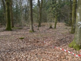 Hyrup Skov Spor af skyttegrave i Hyrup Skov, Sikringsstilling Nord