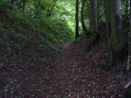 Strandelhjørn Strandelhjørn Batteri, Sikringsstilling Nord, batterigraven