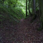 Strandelhjørn Strandelhjørn Batteri, Sikringsstilling Nord, batterigraven