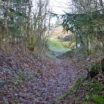 Lerskov Batteri Lerskob Batteri fra 1917, Betterigraven