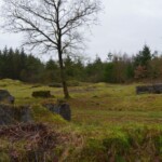 Rugbjerg Batteri Udsigt over hele Rugbjerg Batteri, Sikringsstilling Nord ww1