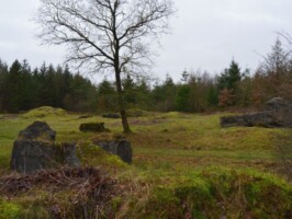Rugbjerg Batteri Udsigt over hele Rugbjerg Batteri, Sikringsstilling Nord ww1
