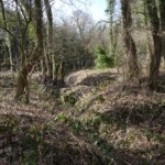 Batteriet i Allerup Krat Allerup Krat batterigraven