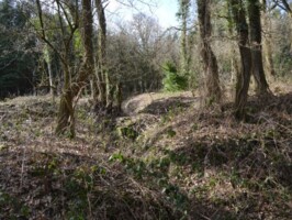 Batteriet i Allerup Krat Allerup Krat batterigraven