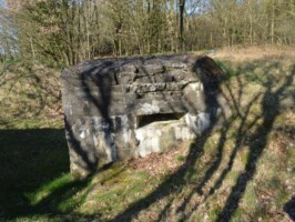 Maskingeværbunker Allerup Krat