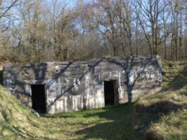 Maskingeværbunker Allerup Krat Allerup Krat flankeringsbunker