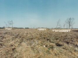 Andholm Batteri Andholm batteri 1981