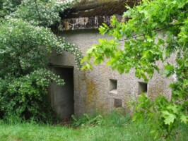 Andholm Batteri Andholm Batteri mandskabsbunker