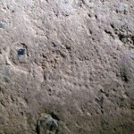 Bunker i Arrild Ferieby Aftryk af støvle i betonen i bunker fra 1917 i Arild Ferieby