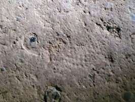 Bunker i Arrild Ferieby Aftryk af støvle i betonen i bunker fra 1917 i Arild Ferieby