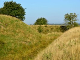 Preussisk Fort X Det Preussiske Fort X havde gravforsvar modsat de danske skanser