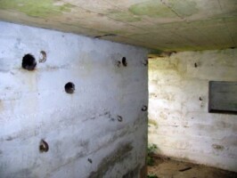 Gasse Høje Maskingeværbunker Gasse Høje Maskingeværbunker fra 1. verdenskrig, indgangen