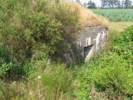 Gasse Høje Maskingeværbunker Gasse Høje Maskingeværbunker, struben