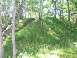 Hornbæk Batteri Der er stadig rester af ildlederposten i Hornbæk Batteri i plantagen.