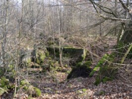 Batteriet i Hyrup Skov Betonrester af batteriet i Hyrup Skov