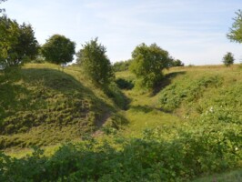 Preussisk skanse VII Preussisk skanse VII, skansevold og graven
