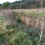 Halvdelingsbunker (36 mand) Halvdelingsbunker i Vedbøl