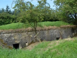 St. Borgbjerg observationsbunker St. Borgbjerg observationsbunker, strube med trappe