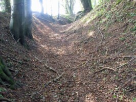 Strandelhjørn Batterigraven i Strandelhjørn Batteri
