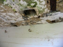 Toftlund periskophul i maskingeværbunker i Toftlund 1917