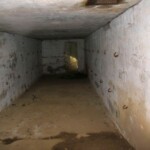 Vedbøl Halvdelingsbunker Vedbøl Halvdelingsbunker, Sikringsstilling Nord