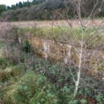 Vedbøl Halvdelingsbunker Vedbøl halvdelingsbunker, Sikringsstilling Nord