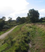 Dannevirke Volden på den oprindelige Dannevirke var 5-7 meter høj med voldkronen øverst