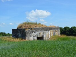 Flankeringsbunker i Vedsted Flankeringsbunker i Vedsted, struben med indgang