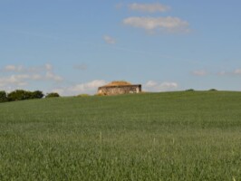 Flankeringsbunker i Vedsted Flankeringsbunker i Vedsted