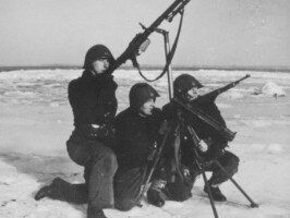 Hornbæk Batteri Madsen rekylgevær i luftmålsaffutage i Hornbæk Batteri