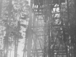 Hornbæk Batteri Observationstårnet i plantagen bag Hornbæk Batteri