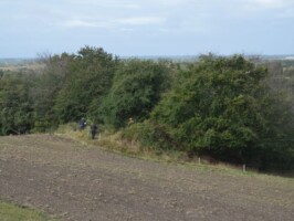 Pothøj Pothøj observationsbunker, udsigten